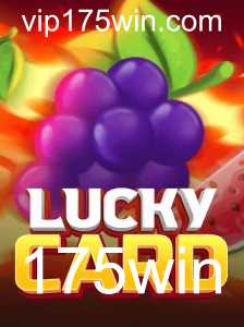 Descubra o Fascinante Mundo de LuckyCard: Sua Chance de Brilhar com o 175win